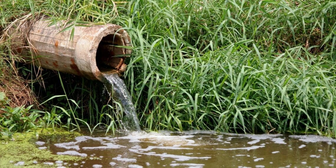 South Africans are battling billions of litres of untreated sewage that are spewed into our rivers and oceans. Photo: Supplied/Food For Mzansi