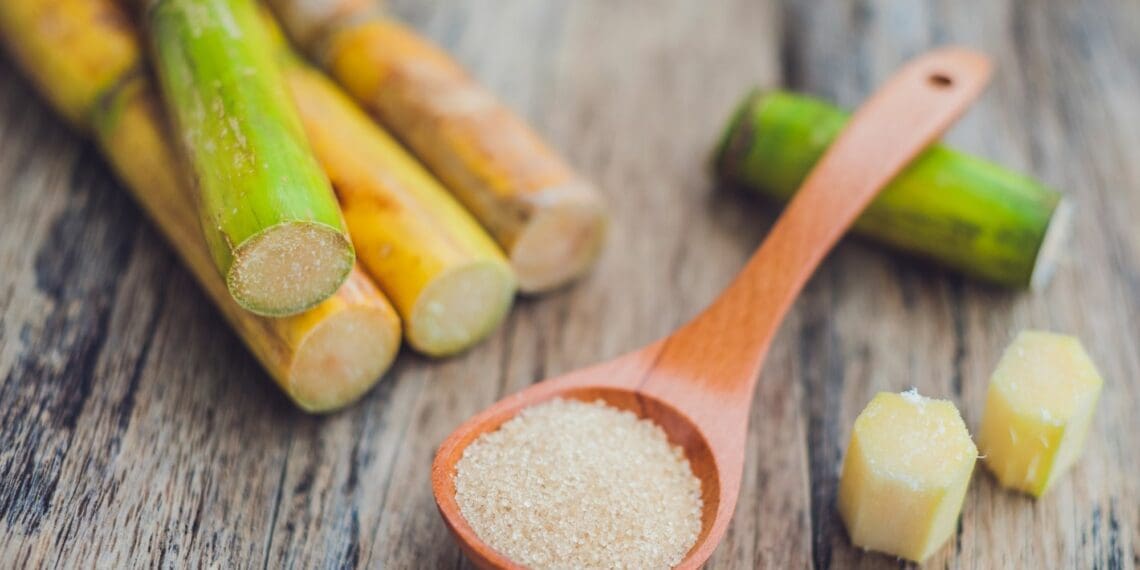 The sugar industry has always been one of the big and important contributors to South Africa’s agricultural value-added and exports. Photo: Supplied/Food For Mzansi