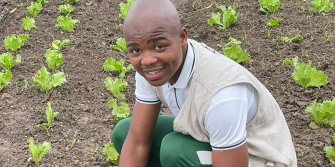 Make small moves while thinking big, advises KwaZulu-Natal farmer Sithembiso Thwala. He learnt everything about agriculture from his late grandmother, Lindeni Ngcobo. Photo: Supplied/Food For Mzansi