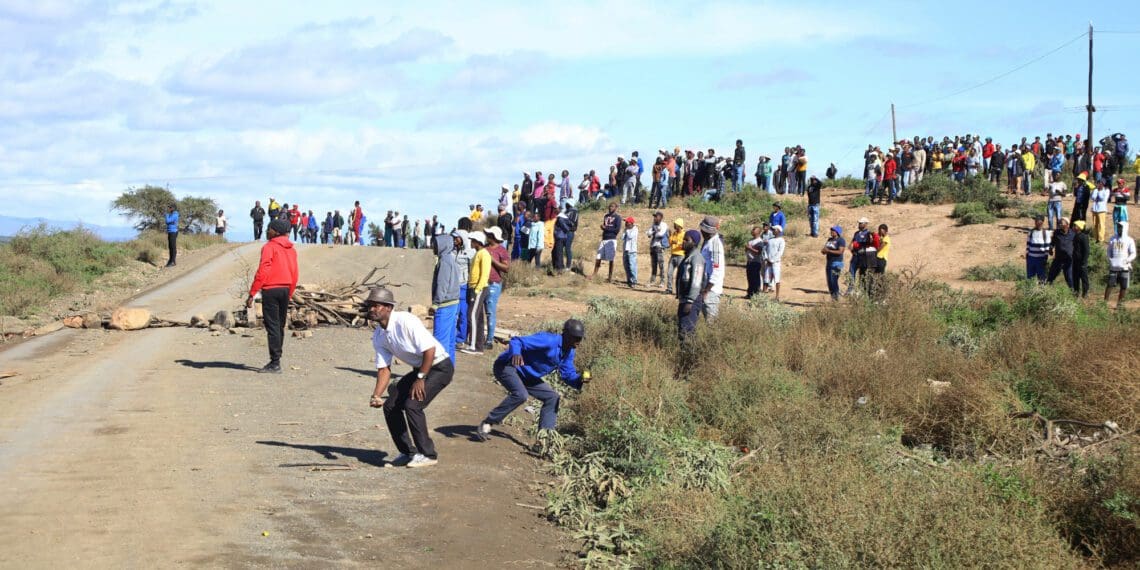 Citrus protest: Residents of Kirkwood gather on the gravel road near Moses Mabhida township. Protesters have been interdicted from entering several farms in the Sundays River Valley. Photo: Bonile Bam/New Frame