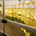 Russia and Ukraine typically account for nearly 60% of global sunflower oil exports. Photo: Supplied/Food For Mzansi