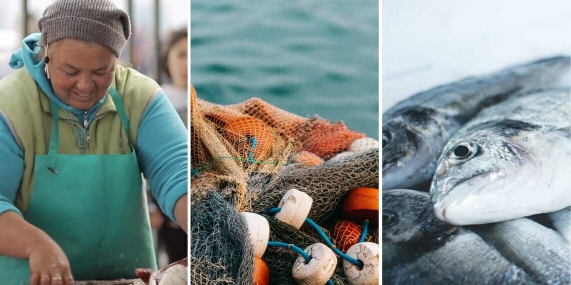 Mzansi's small-scale fishers need support. Photo: Supplied/Food For Mzansi