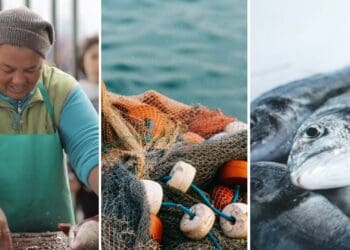 Mzansi's small-scale fishers need support. Photo: Supplied/Food For Mzansi