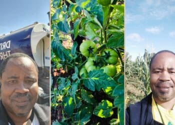 Farming professor gears youth for digital opportunities