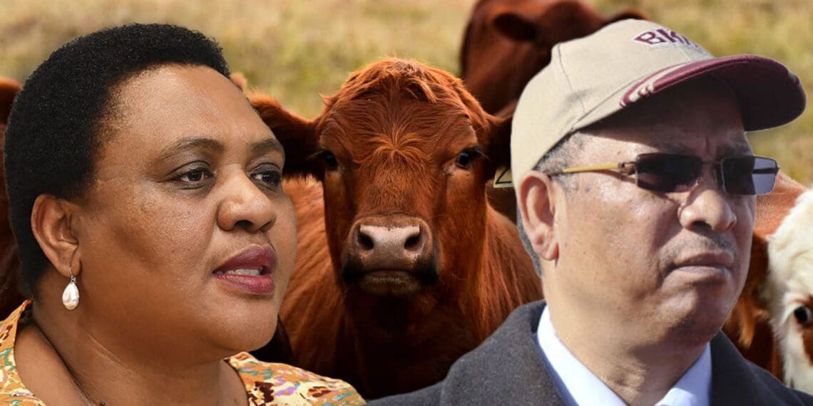 Outbreaks of foot-and-mouth disease in five South African provinces are of grave concern to the agricultural sector. Agri mnisters share how farmers can protect their livestock. Photo: Supplied/Food For Mzansi