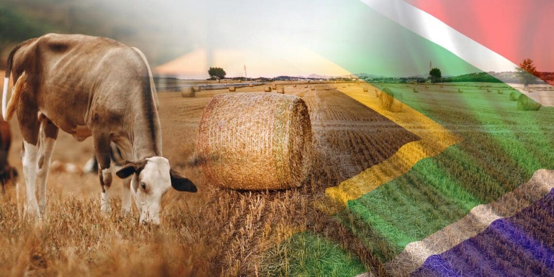 Agri leaders are impressed by government's policy checklist and performance plan for the year ahead. But that's just the start, they say. Photo: Food For Mzansi