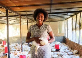 Dr Ethel Zulu bought a farm intending to run an agri training facility. Today she does that, but also farms with some 7500 broilers. Photo: Funiwe Ngwenya/Food For Mzansi
