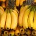 Farmer 101: Fancy growing bananas? Here's how