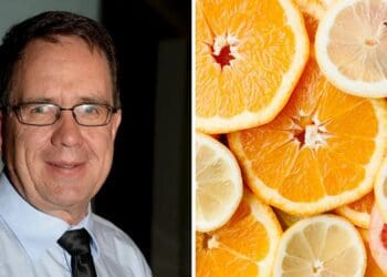 “We will remain committed to working with government and stakeholders across the value chain to address issues affecting the ports,” vows Hannes de Waal, the chairperson of the Citrus Growers’ Association of Southern Africa. Photos: Supplied/Food For Mzansi