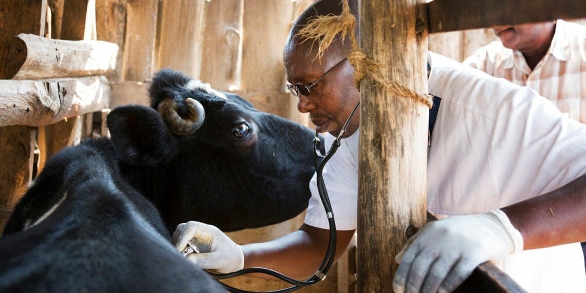 “We need to have robust discussions and be intentional on how to increase the number of veterinarians in the country,” says Dr Tlotlo Kgasi, president of the South African Veterinary Council. Photo: Supplied/Food For Mzansi