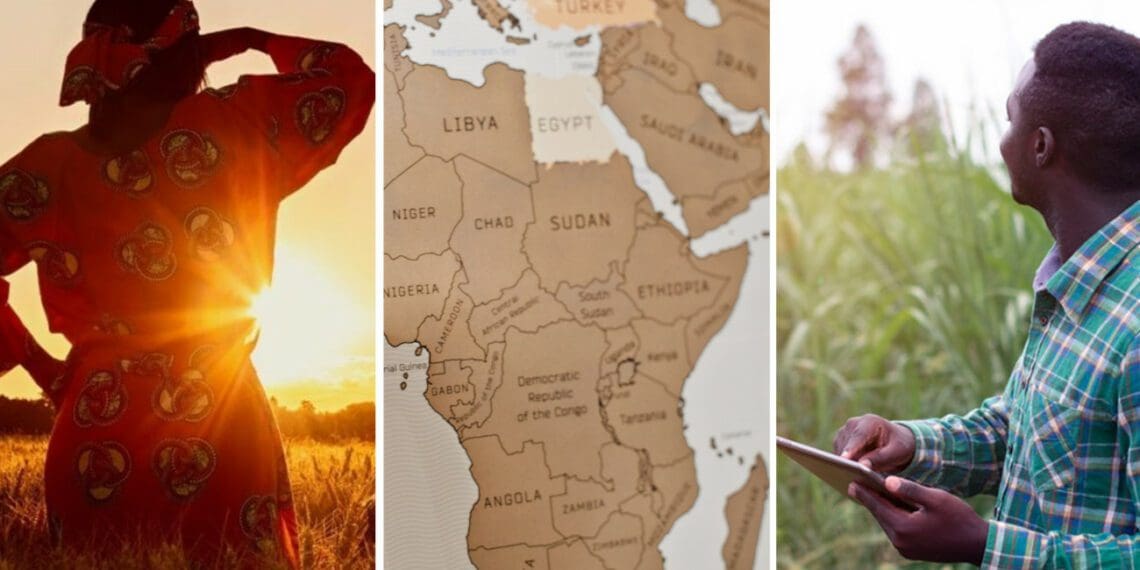 The Investment Guidelines for Youth in Agrifood Systems in Africa aim to accelerate investments in and by young people in food production. Photo: Supplied/FAO