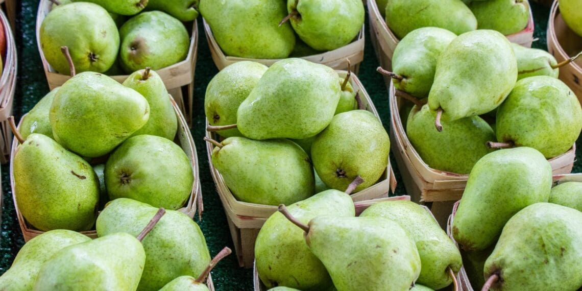 A South African fruit export company donated pears to Ukrainian refugees. Photo: Supplied/Food For Mzansi