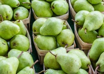 A South African fruit export company donated pears to Ukrainian refugees. Photo: Supplied/Food For Mzansi
