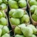 A South African fruit export company donated pears to Ukrainian refugees. Photo: Supplied/Food For Mzansi