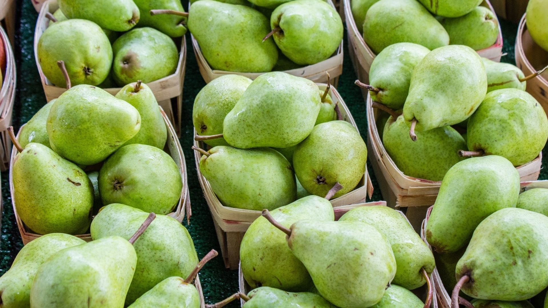 ICYMI: SA pears a welcome addition to Ukrainian aid - Vimarsana News