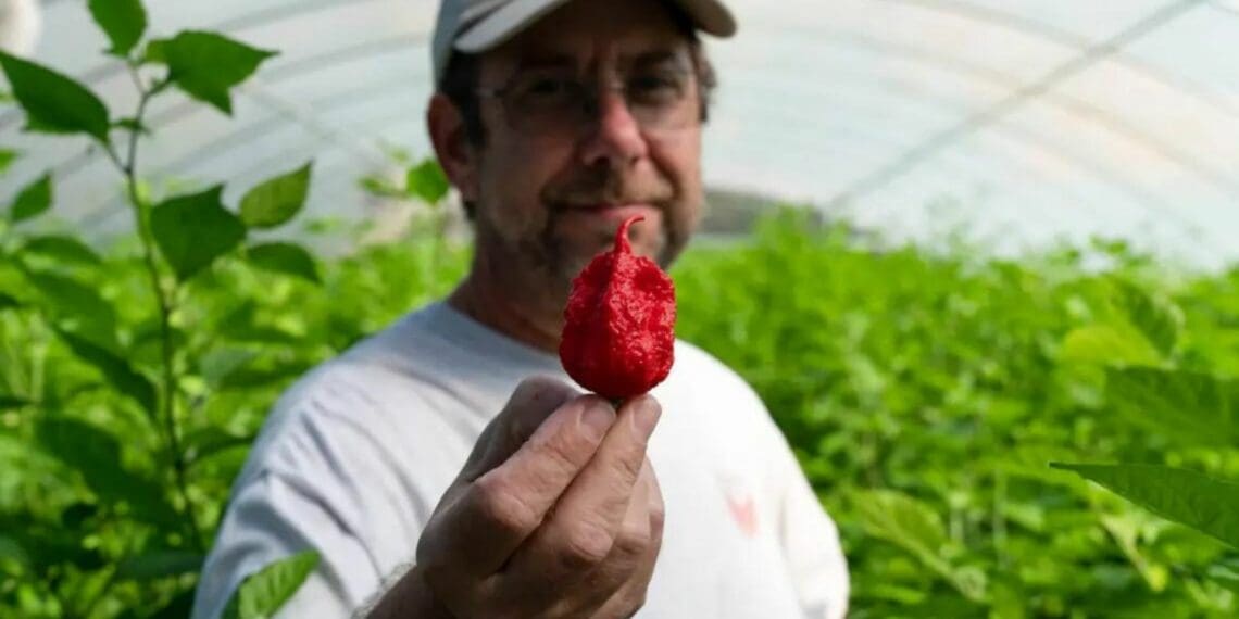 Ed Currie is the man behind the Carolina Reaper. Source/digsouth.com