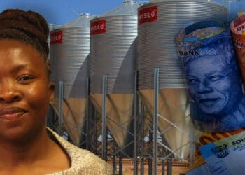 The North West department of agriculture and rural development has been allocated a budget of R1.2 billion to spend in the new financial year. However, they have days to report back on how exactly they plant to use this money. Photo: Supplied/Food For Mzansi