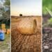 Conference of the Parties (COP15) of the United Nations Convention to Combat Desertification (UNCCD) concludes today (Friday, 20 May). Global leaders are hoping for clear commitments on drought resilience and soil restoration before delegates head home. Photo: Supplied/Food For Mzansi