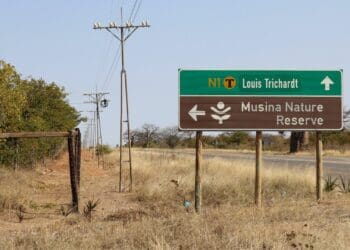 The Mamphodo Mushasha Begwa Community Property Association (CPA) located in Louis Trichadt and Elim in Limpopo has been crushed by alleged sabotage. Photo: Supplied/Food For Mzansi
