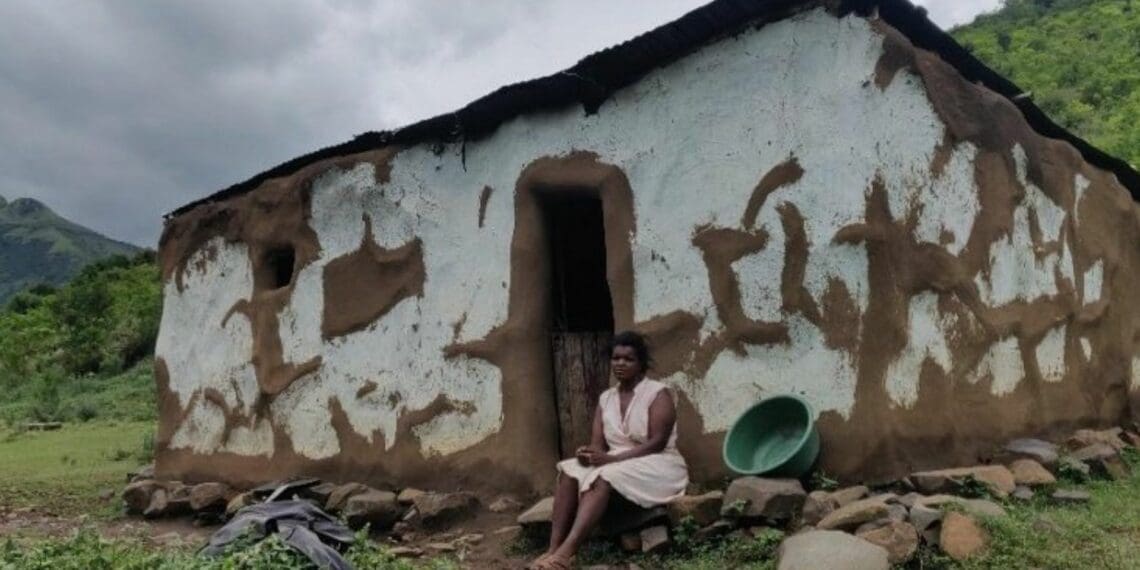 Small-scale Mpondoland cannabis grower in Eastern Cape. Photo: Supplied/ Tijmen Grooten