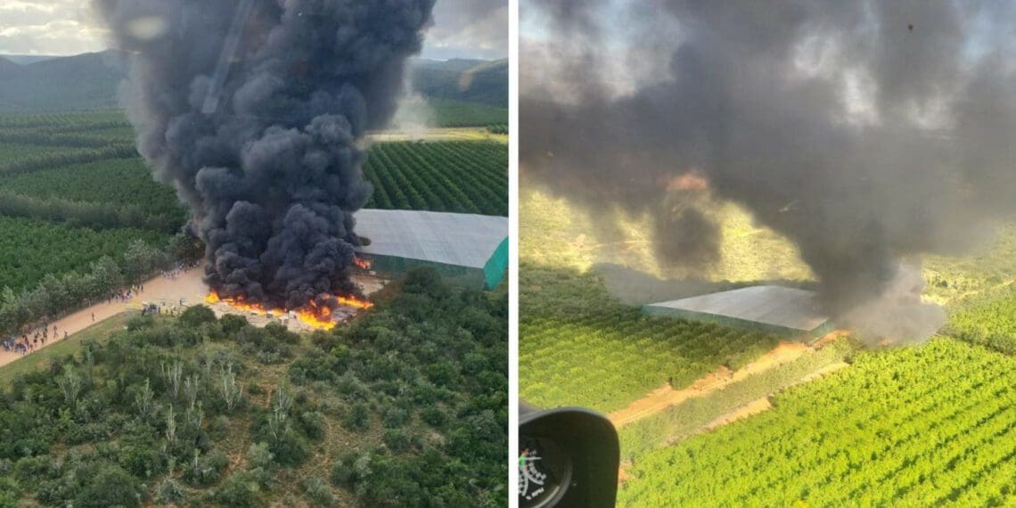 Orchards, buildings and equipment were set alight during violent protests in the Sundays River Valley. Photos: Eesruf Veiligheids Groep Reaksie-span/Facebook