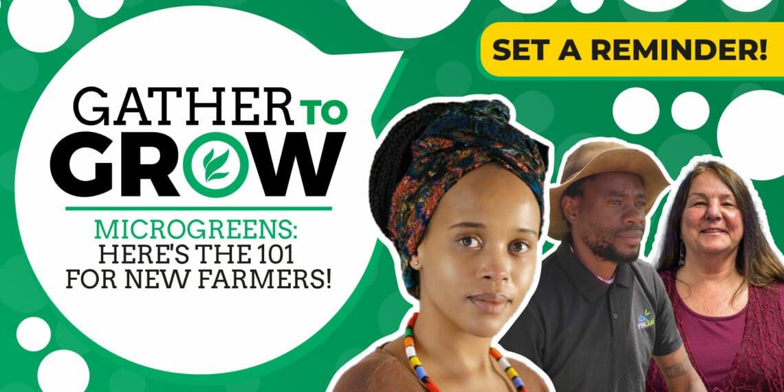 In this week's Gather To Grows twitter session, PJ Phiri, aquaponics horticulturalist and Michele Carelse, founder of feelgood health unpack with hosts Gugulethu Mahlangu and Dawn Noemdoe the 101 on farming for new farmers. Photo: Supplied/Food For Mzansi