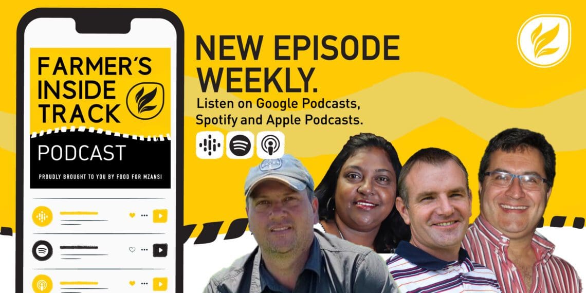 Podcast: Tips for powdery mildew on tomatoes