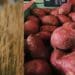 Driving local food security through research