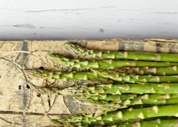 Five essential tips for farming with asparagus