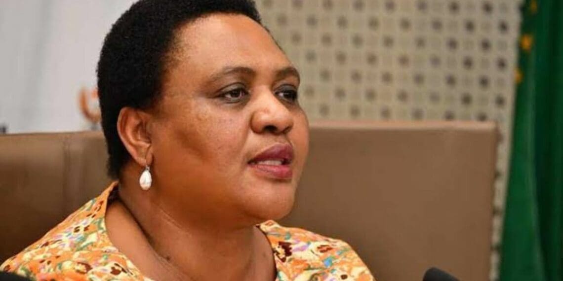 South Africa's minister of agriculture, land reform and rural development, Thoko Didiza, is signing the much-awaited Agriculture and Agro-processing Master Plan (AAMP) during a live session today. Photo: Supplied/ Food for Mzansi