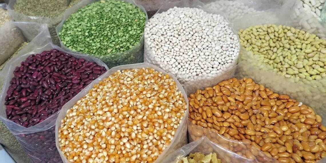 A number of factors are influencing Africa’s food security. One of the main drivers is the lack of grain and oil access from Russia and Ukraine. Photo: Supplied/Food For Mzansi