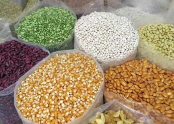 A number of factors are influencing Africa’s food security. One of the main drivers is the lack of grain and oil access from Russia and Ukraine. Photo: Supplied/Food For Mzansi