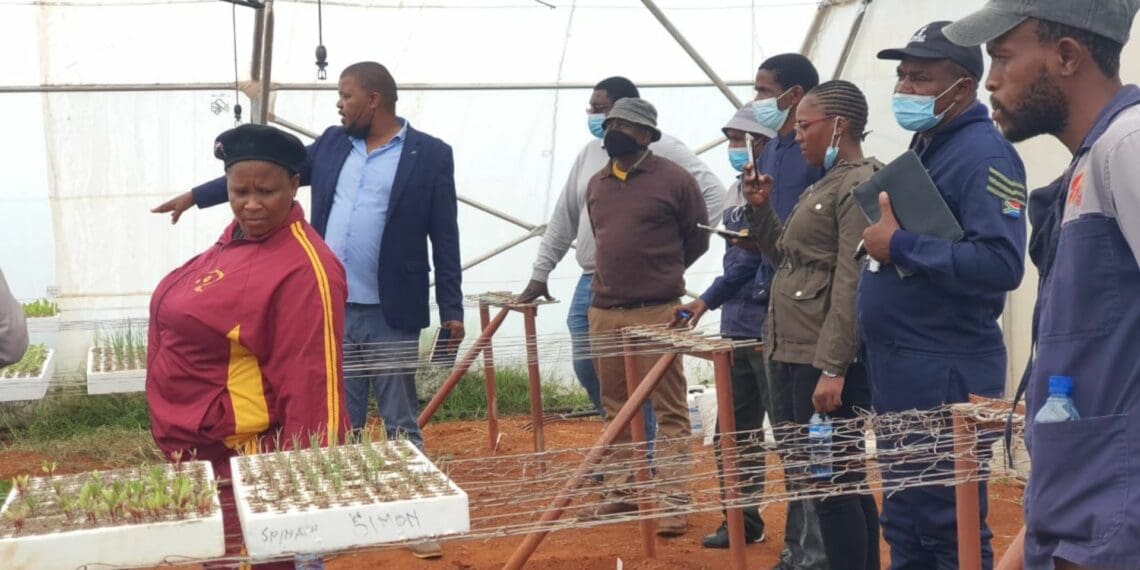 An archive image of Taung Agricultural College staff members visiting the Kgora Farmer Training Centre. North West provincial portfolio committee members asked hard questions about spending at the facility this week. Photo: Supplied/Food For Mzansi