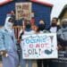 Ocean life activists saying no to gas exploration. Photo: Green Peace
