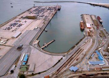 A leading importer is calling on government to remove some of the red tape at Gqeberha port in order to ease the congestion of goods flowing into South Africa. Photo: Supplied/Transnet