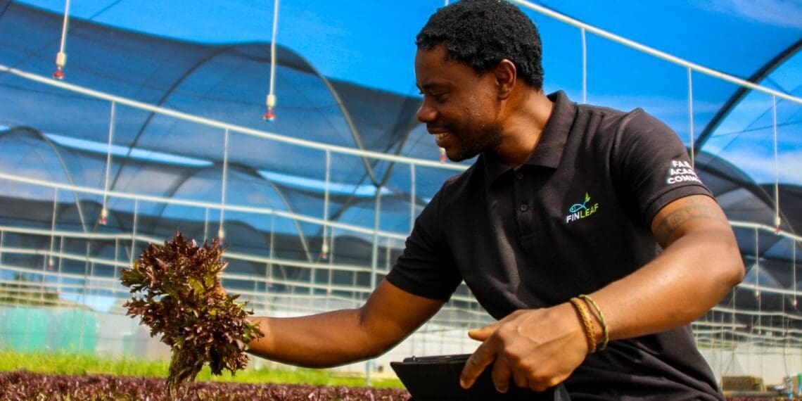 Mapopa Gwengo is the farm manager at an Integrated Aquaculture farm. Photo: Magnificent Mndebele
