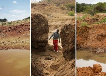 Agri SA is calling on President Cyril Ramaphosa to intervene and address the harms of illegal Sand Mining in Limpopo. Photo: Supplied/Food For Mzansi