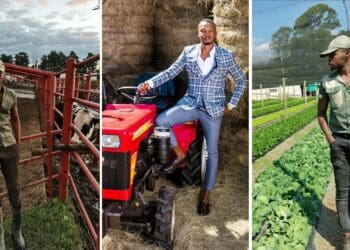 Thabo Skhosana an emerging farmer in Newcastle in KwaZulu-Natal wants to motivate young farmers who wants to study agriculture. Photo: Supplied/ Food For Mzansi