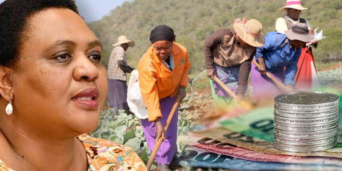 Subsistence farmers in KwaZulu-Natal are yet to see an end to their frustrations with what they call "useless" Pesi vouchers. Photo: Supplied/Food For Mzansi