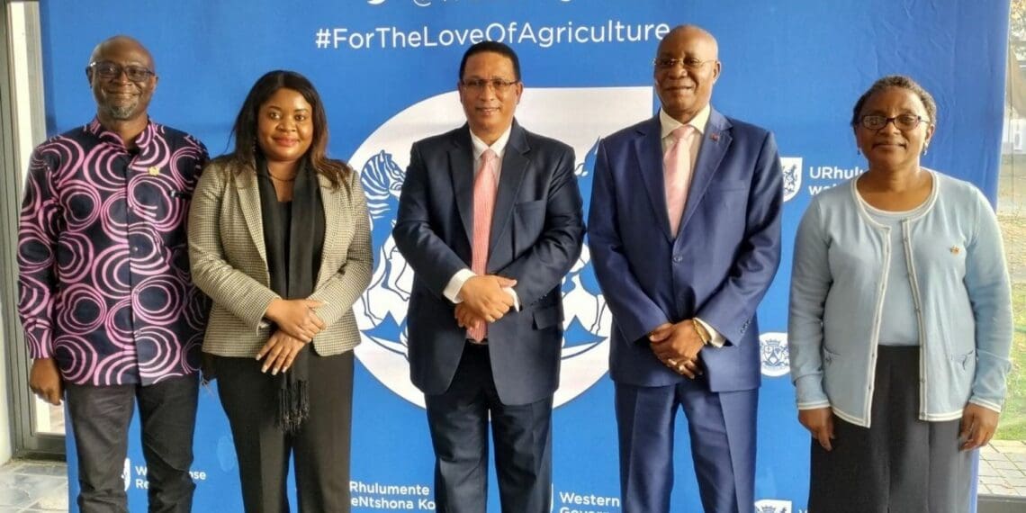 The Western Cape department of agriculture launched its Africa Agricultural Strategy for the Western Cape. Photo: Supplied/Food For Mzansi
