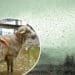 Winter weather is coming, and farmers are advised to stay informed and to prepared as best they could to safeguard their fields and animals. Photo: Supplied/Food For Mzansi