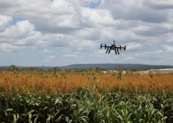 5G internet access is being rolled out in both Ethiopia and Kenya. Photo: Supplied/FoodForAfrika.com
