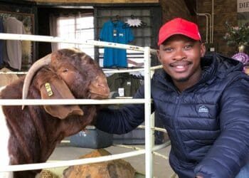 Pietermaritzburg farmer Andile Ngcobo counted among the thousands of visitors to Nampo. To allow for reduced daily capacity amid Covid-19 restrictions, the expo is held over a period of five days. Under the theme “Experience it”, organisers gave visitors a broad overview of the latest trends, equipment, vehicles and so much more offered to the agriculture sector. Photo: Supplied/Food For Mzansi