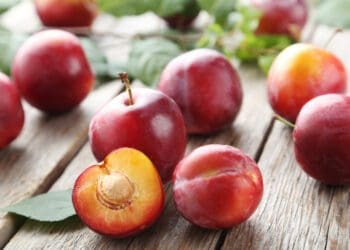 Export prospects were especially good for South African plums this year. That was only until the fruit passed through the farm gates. Photo: Supplied/Food For Mzansi