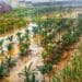 Even if Mawande Sigwinta is able to save his half-drowned vegetables, the quality will not be the same as before. Photo: Supplied/Food For Mzansi
