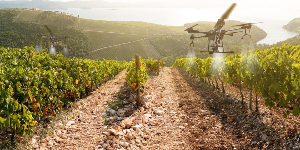 Research has revealed that less than three in 10 farmers in the upper parts of Africa use technology. Photo: Supplied/Food For Mzansi