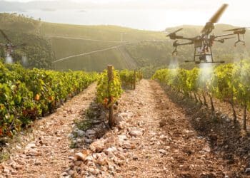 Research has revealed that less than three in 10 farmers in the upper parts of Africa use technology. Photo: Supplied/Food For Mzansi