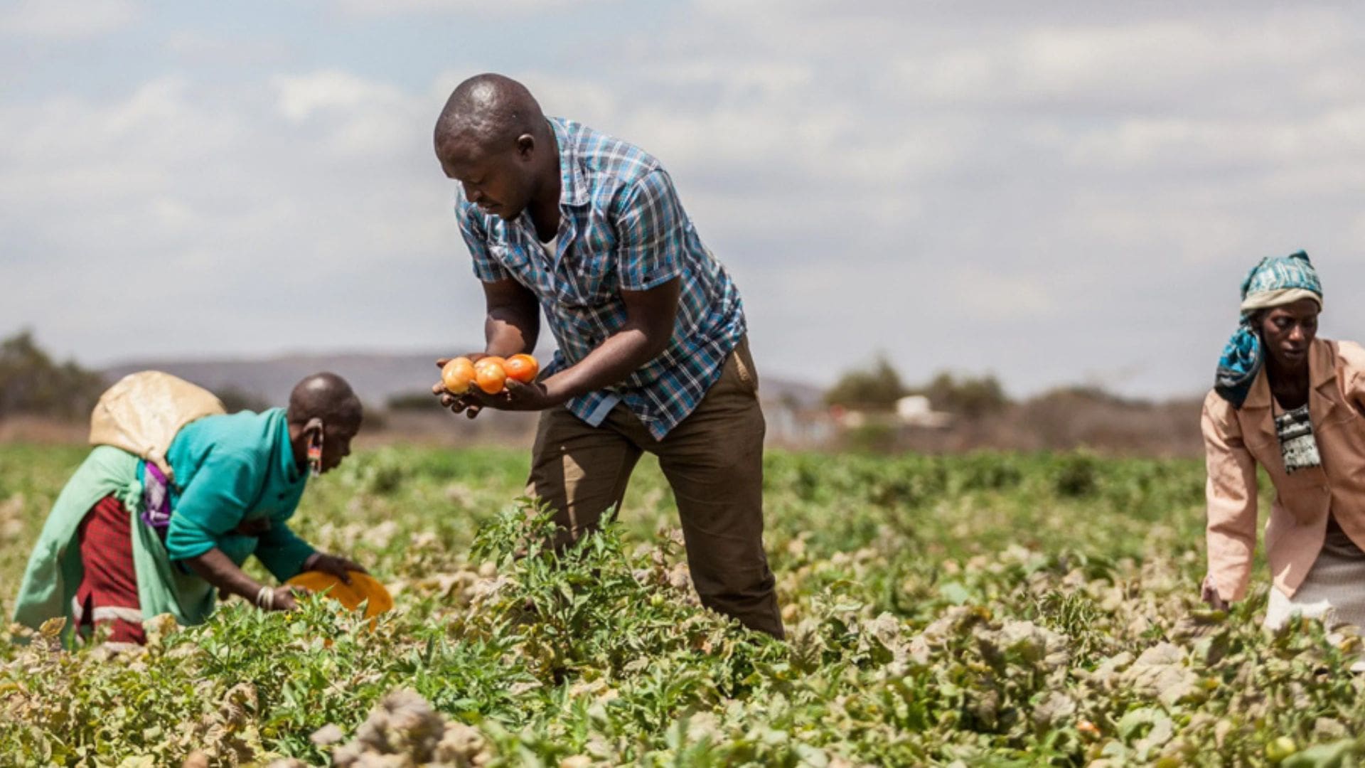 Burundi takes the lead in subsidising farmers - Vimarsana News
