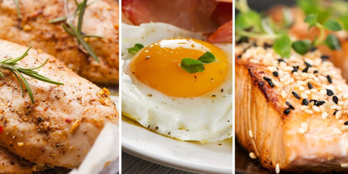 Is your start-up developing alternative proteins? Your next investor might just be ready to give you a much-needed cash injection. Photos: Supplied/Food For Mzansi