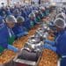 Langeberg & Ashton Foods provides employment for around 250 permanent and 4 300 seasonal staff. Photo: Supplied
